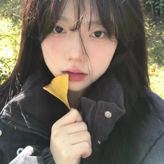 赛马娘第二季